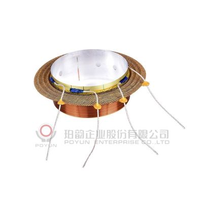 Voice Coil & Spider Assy